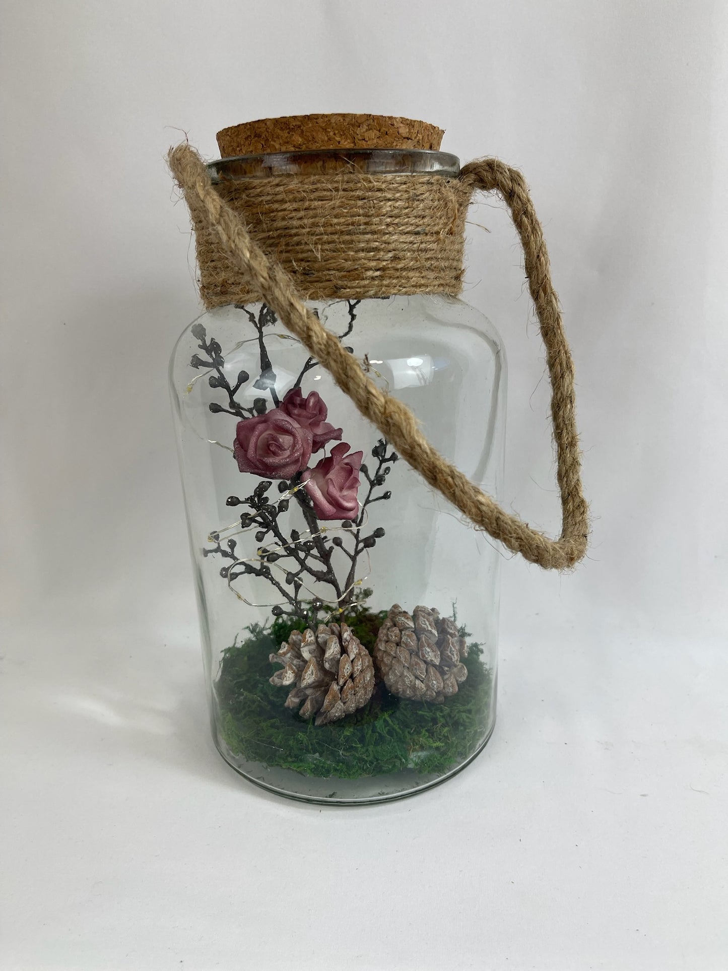 Rosa en Frasco - Naturaleza Encapsulada