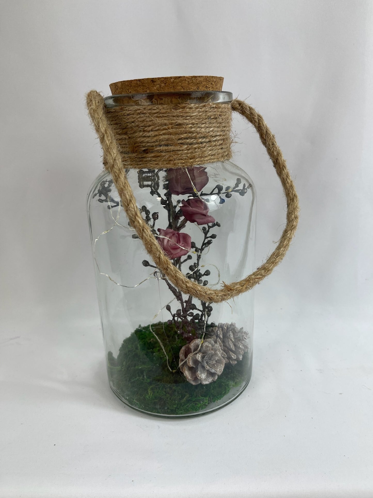 Rosa en Frasco - Naturaleza Encapsulada